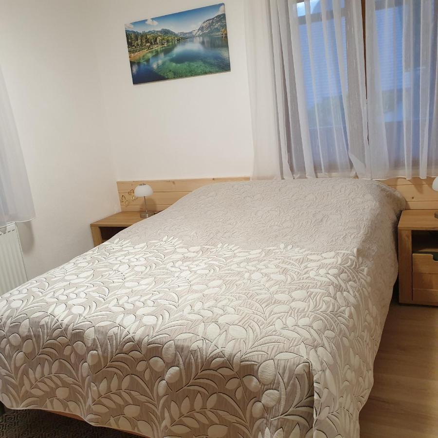 Apartmaji Pri Medvedu 博希尼 外观 照片