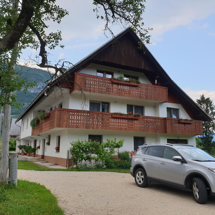 Apartmaji Pri Medvedu 博希尼 外观 照片