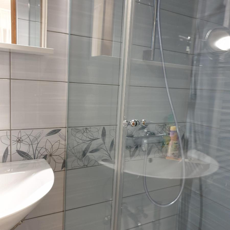 Apartmaji Pri Medvedu 博希尼 外观 照片